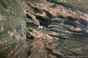 столешница на кухне - гранит Marisma