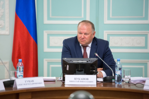 Полномочный представитель Президента Российской Федерации в Северо-Западном федеральном округе Николай Цуканов на заседании Совета. Фотограф Дмитрий Фуфаев.