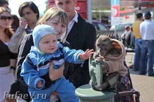 Стрит фотография