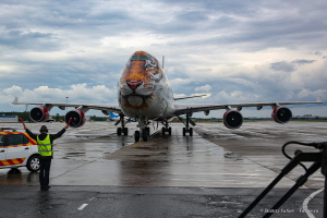 Полосатый рейс. Аэропорт Пулково. Санкт-Петербург. Фотограф Дмитрий Фуфаев.