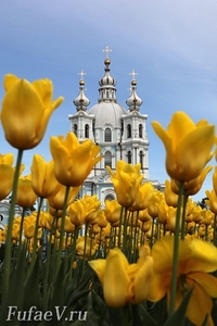 Фото Официальная торжественная часть корпоративного праздника. Фотограф  на корпоративный праздник Дмитрий Фуфаев. Заказать фотографа  тел.8-911-008-22-13.