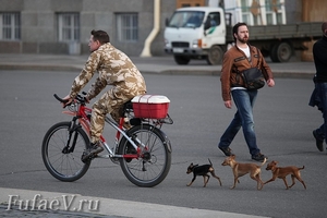 Фото Танцы на  корпоративном празднике. Фотограф  на корпоратив Дмитрий Фуфаев. Заказать фотографа  тел.8-911-008-22-13.