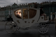 Свадебный фотограф карета на дворцовой площади молодожены в карете